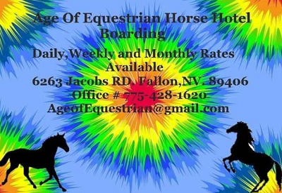 Age of Equestrian Horse Hotel Logo