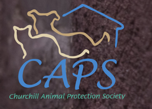 CAPS Logo