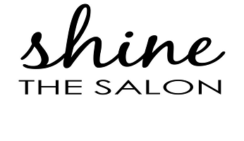 Shine the Salon Logo