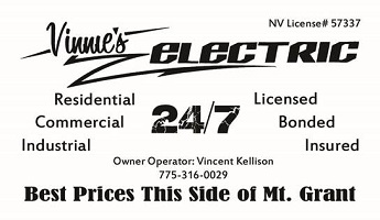 Vinnie's Electric Logo